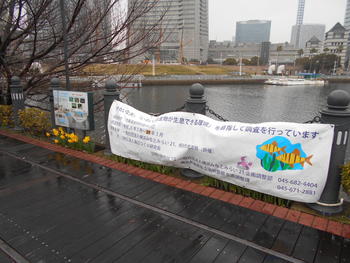 アマモ（14回）1_DSCN2675.jpgのサムネイル画像のサムネイル画像