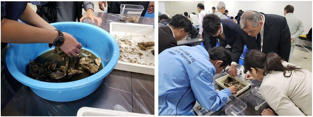191222生き物観察会会場の様子1.jpg